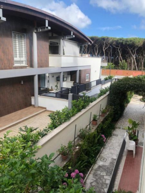 PuraVida 3
